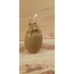 Oeuf poussin