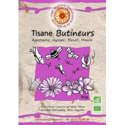 Tisane Butineurs