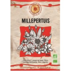 Millepertuis